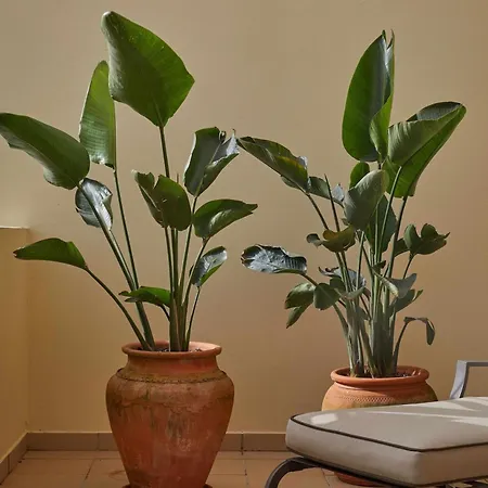 公寓 Casa Terra With Pool & Free Wifi